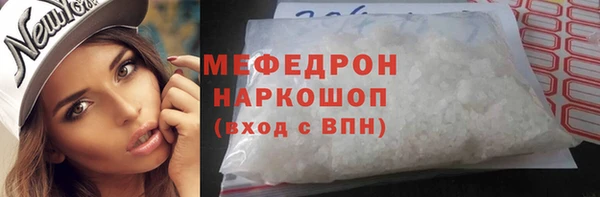 хмурый Пересвет
