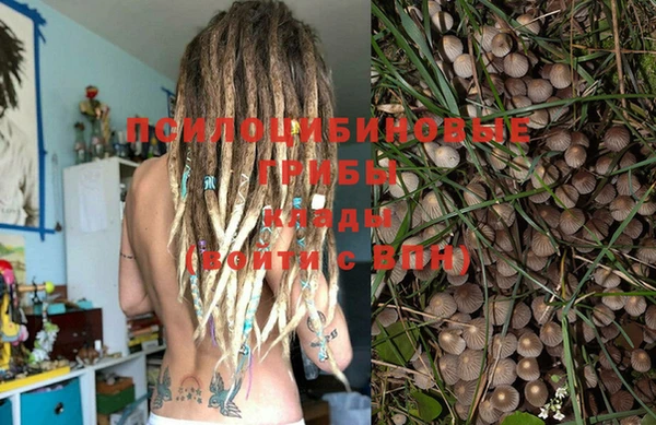 Альфа ПВП Алзамай