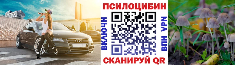 Псилоцибиновые грибы GOLDEN TEACHER  Пролетарск 